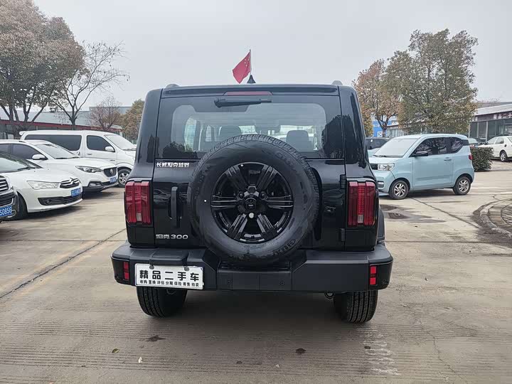 Фото 5 - Tank 300