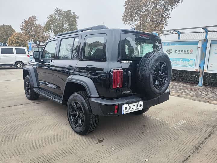 Фото 6 - Tank 300