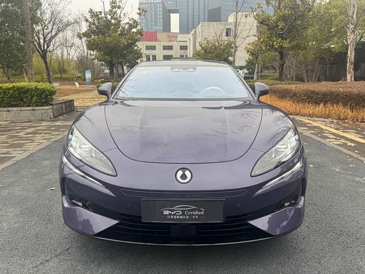 Фото 2 - Denza Z9