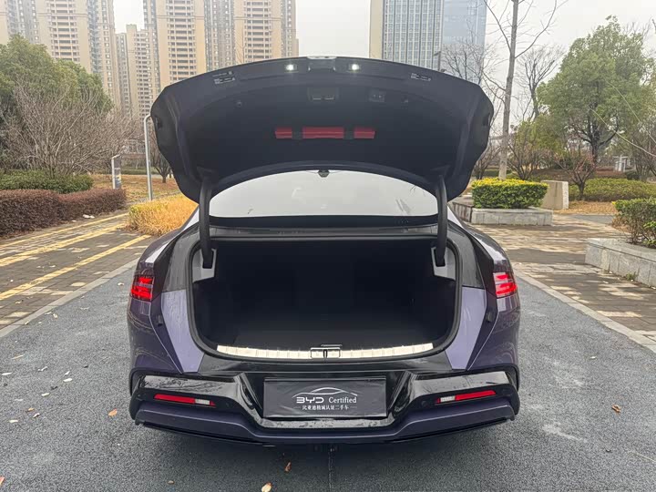 Фото 7 - Denza Z9