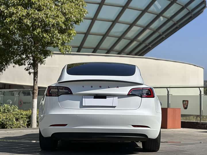 Фото 4 - Tesla Model 3