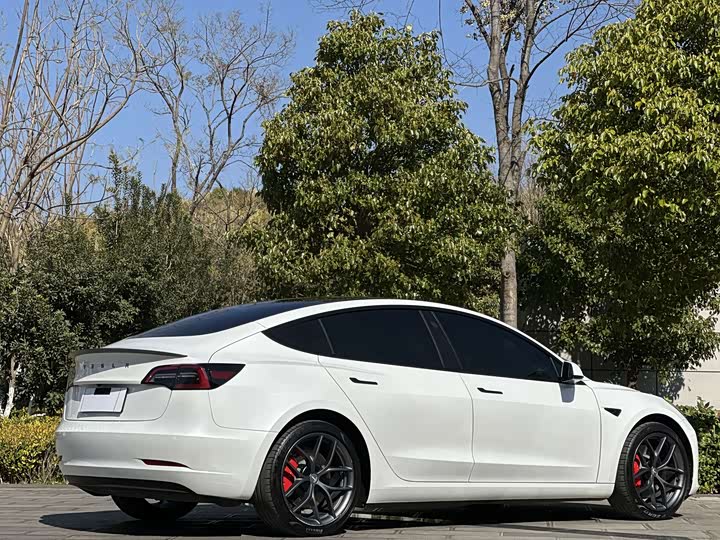 Фото 6 - Tesla Model 3