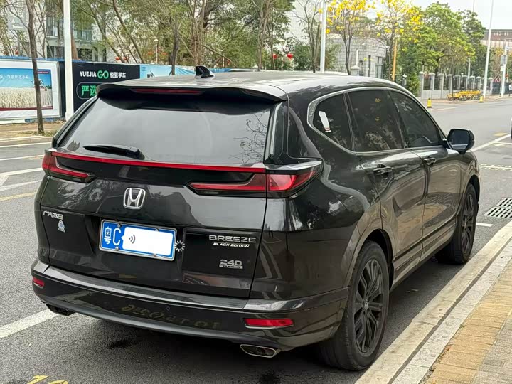 Фото 5 - Honda Breeze