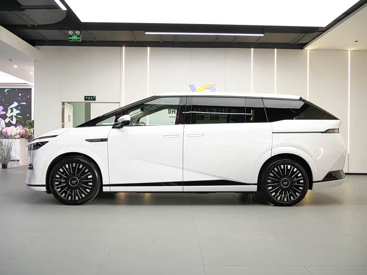 Фото 4 - XPeng X9