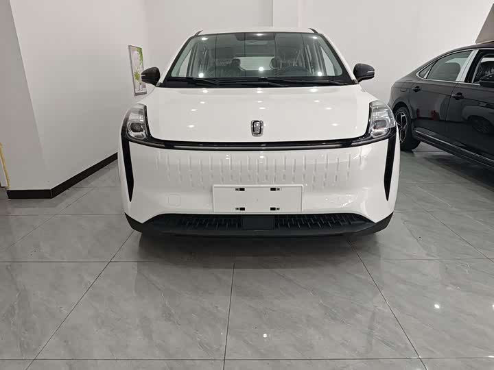 Фото 2 - Bestune NAT