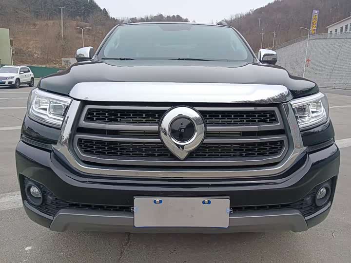 Фото 2 - Great Wall Pao