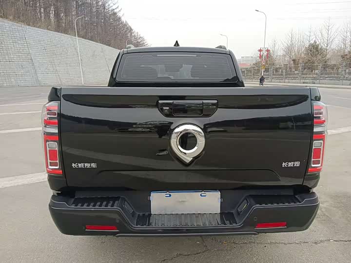 Фото 4 - Great Wall Pao