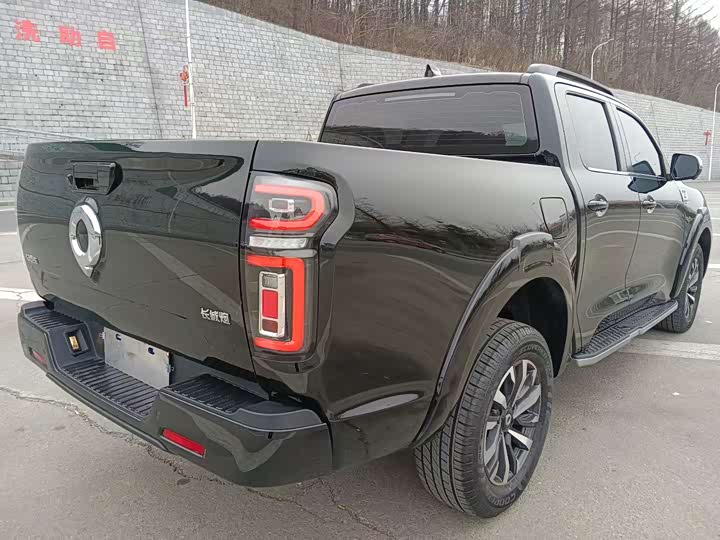 Фото 5 - Great Wall Pao