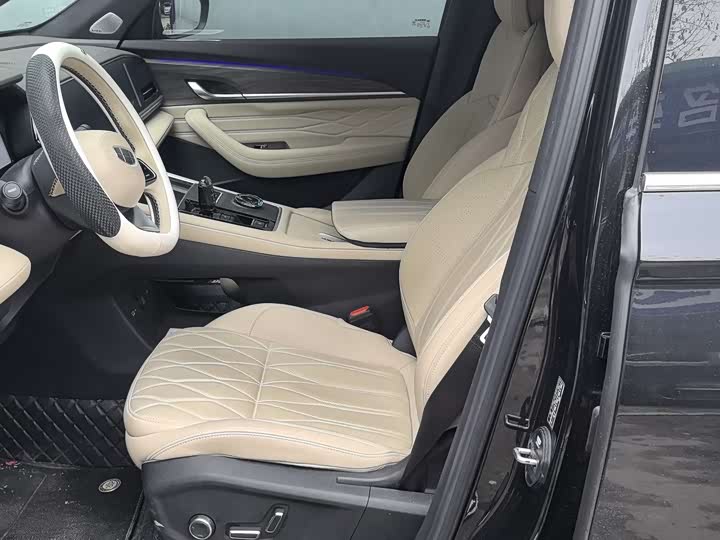 Фото 5 - Geely Monjaro