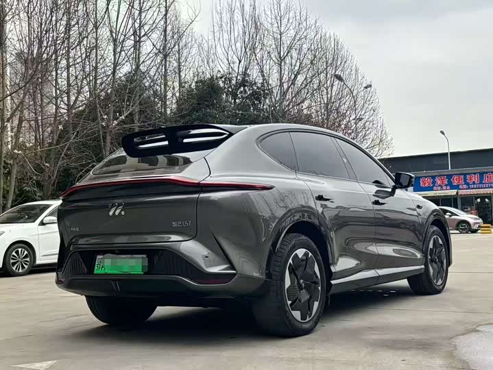 Photo 4 - IM motors LS7