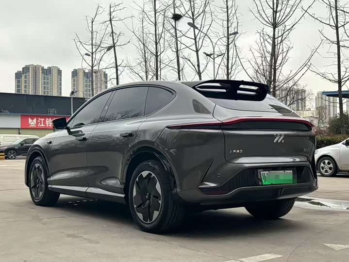 Photo 6 - IM motors LS7