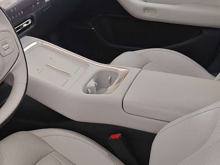 Фото 6 - XPeng F57