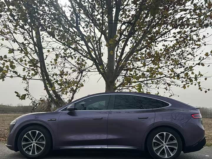 Фото 3 - Luxeed R7