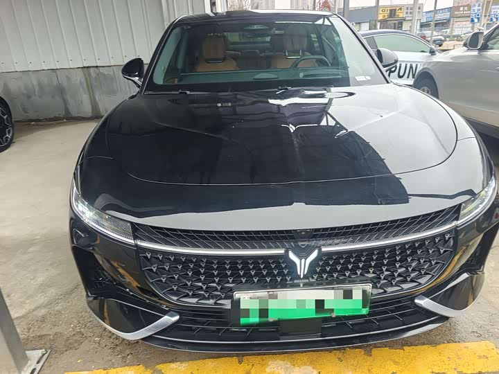 Фото 2 - Voyah Passion