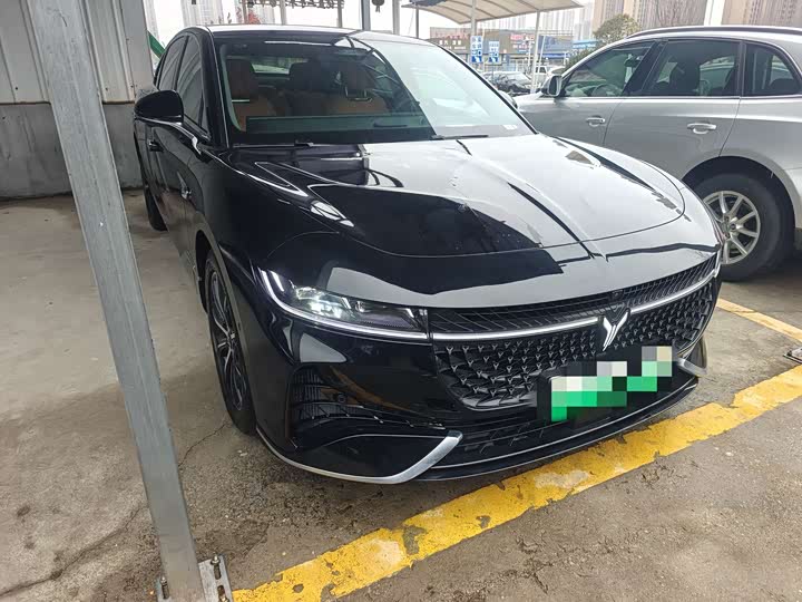 Фото 3 - Voyah Passion