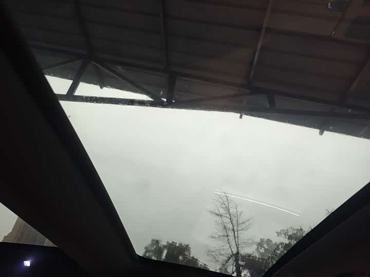 Фото 9 - Voyah Passion