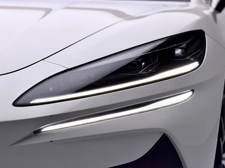 Фото 4 - Denza Z9