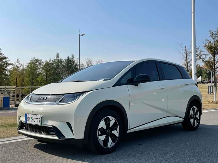 Фото 1 - BYD Dolphin