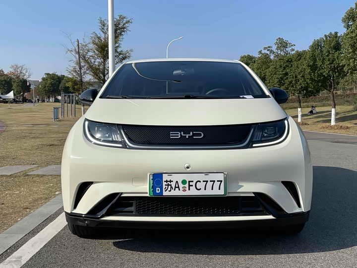 Фото 2 - BYD Dolphin