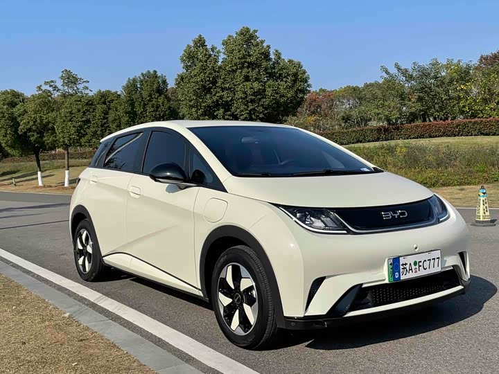 Фото 3 - BYD Dolphin