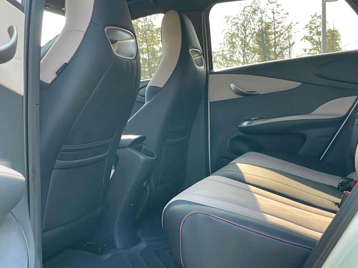 Фото 4 - BYD Dolphin