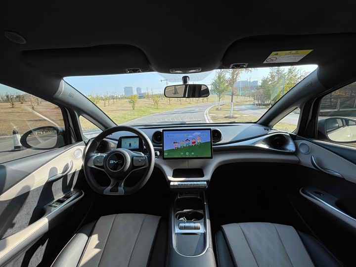 Фото 8 - BYD Dolphin