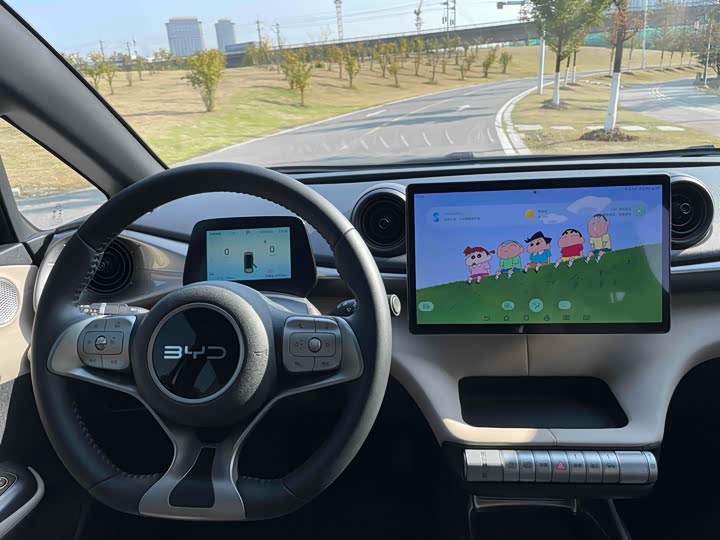 Фото 9 - BYD Dolphin