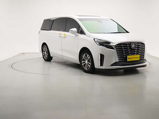 Фото 5 - Buick GL8 ES