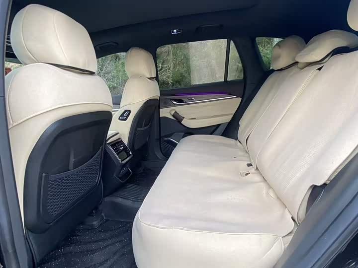 Photo 9 - Geely Monjaro