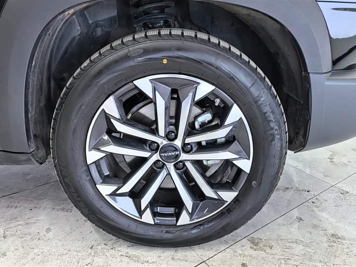 Фото 6 - Haval Dargo