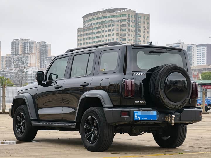 Фото 2 - Tank 300