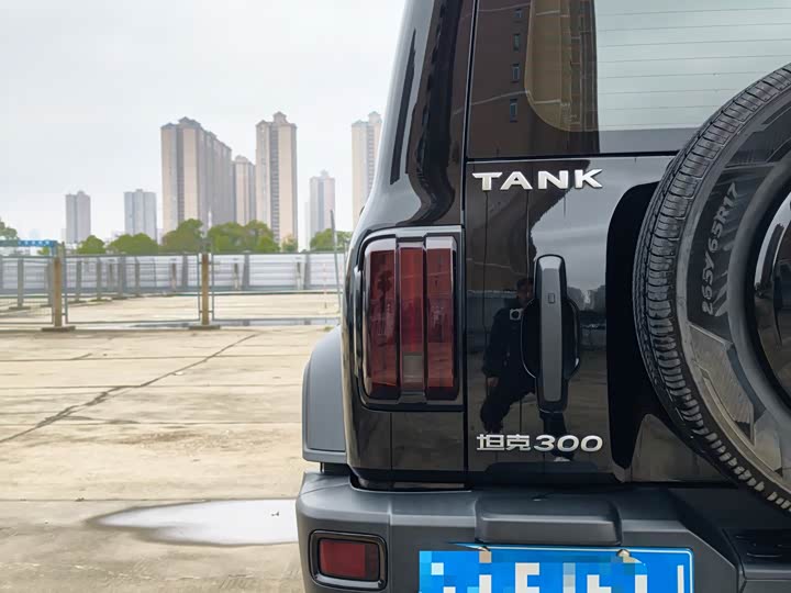 Фото 8 - Tank 300