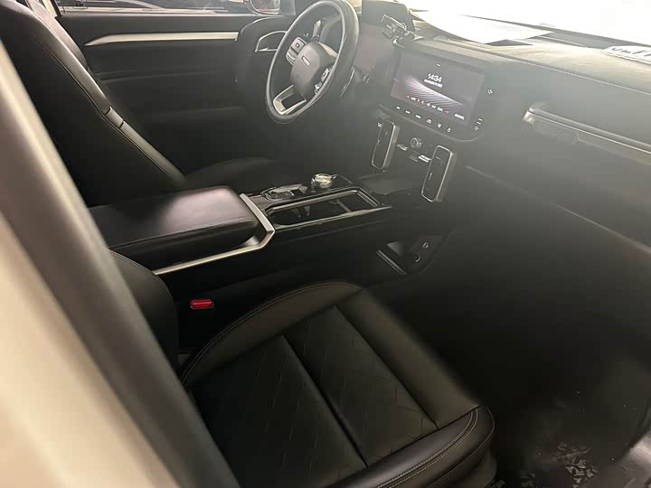 Фото 7 - Haval Dargo