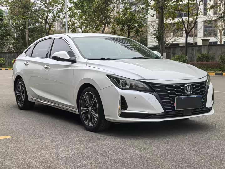 Фото 3 - Changan Raeton CC