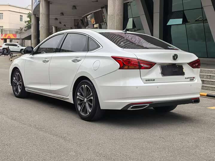 Фото 6 - Changan Raeton CC