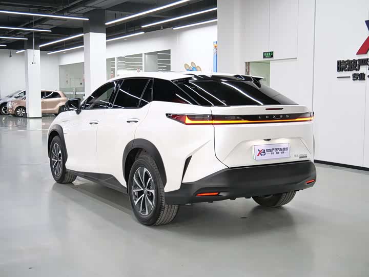 Фото 5 - Lexus RZ