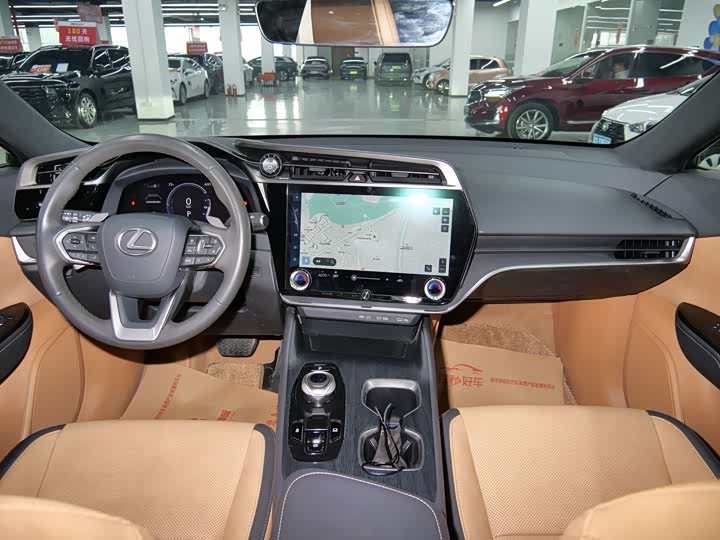 Фото 9 - Lexus RZ