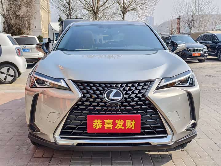 Фото 2 - Lexus UX