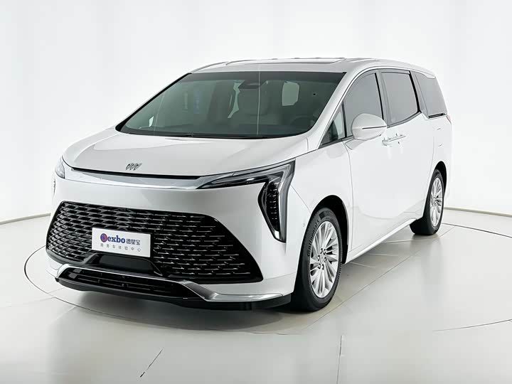 Фото 2 - Buick GL8 Century