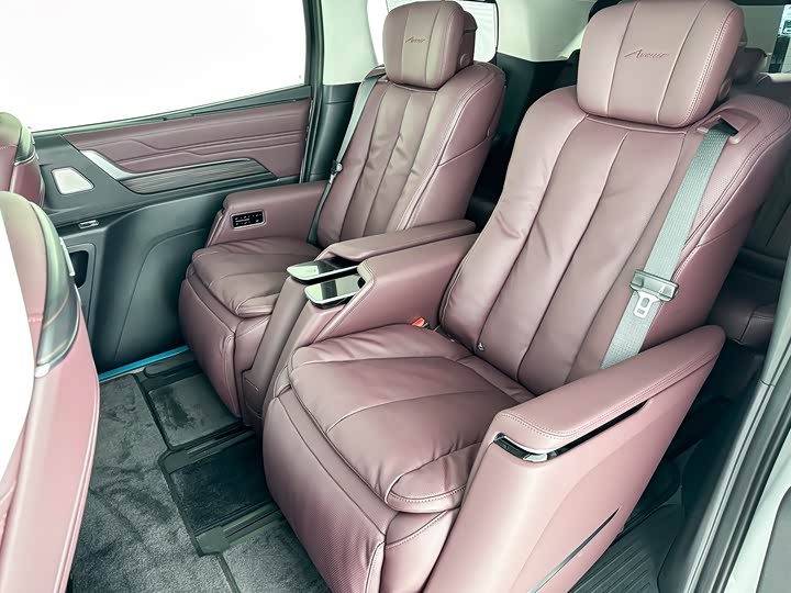 Фото 5 - Buick GL8 Century