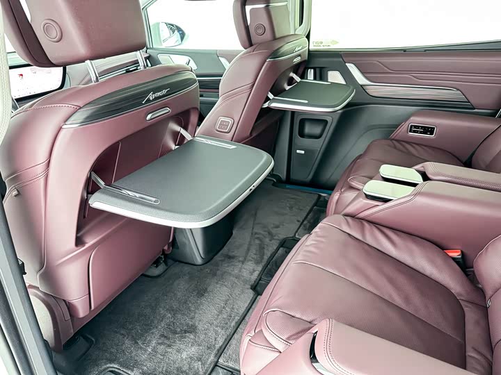 Фото 9 - Buick GL8 Century