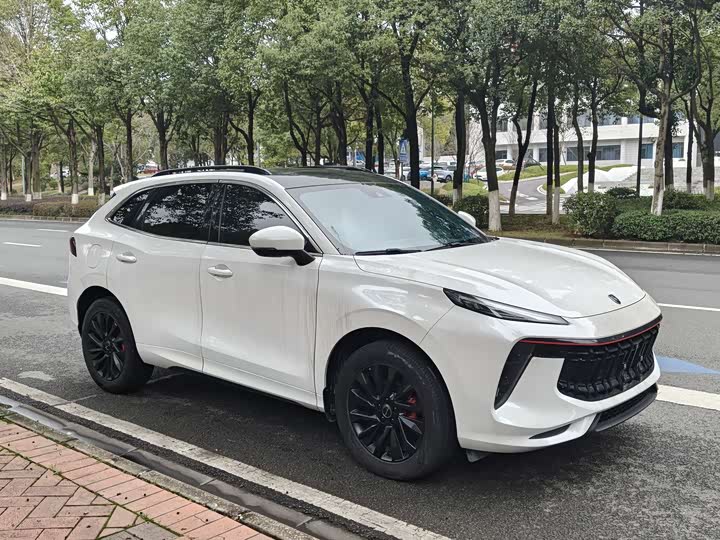 Фото 3 - Dongfeng Forthing T5 EVO