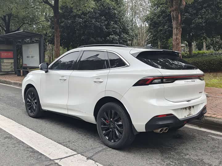 Фото 8 - Dongfeng Forthing T5 EVO