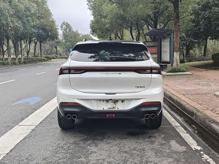 Фото 9 - Dongfeng Forthing T5 EVO