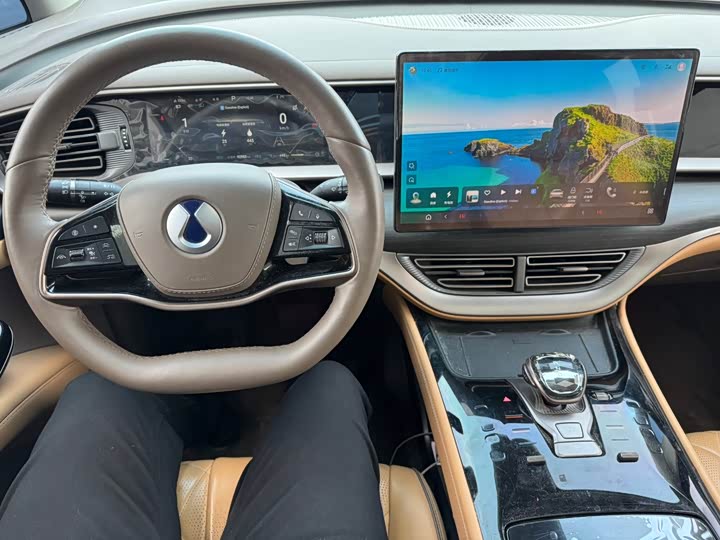 Фото 6 - Denza D9