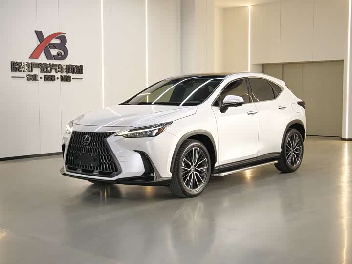 Фото 1 - Lexus NX