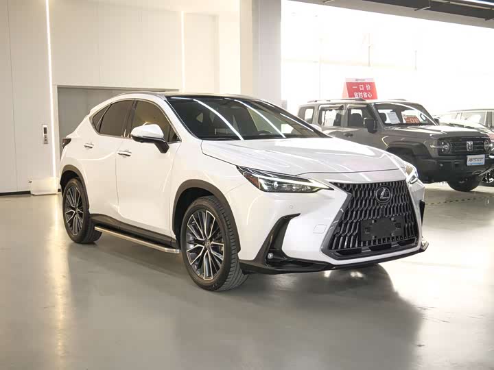 Фото 3 - Lexus NX