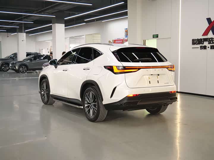 Фото 7 - Lexus NX