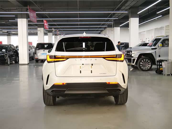 Фото 8 - Lexus NX