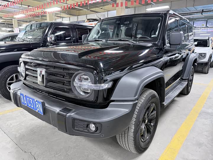 Фото 1 - Tank 300